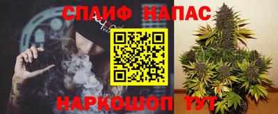 крисы Кунгур