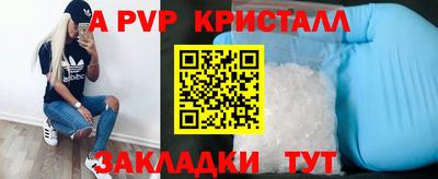 крисы Кунгур