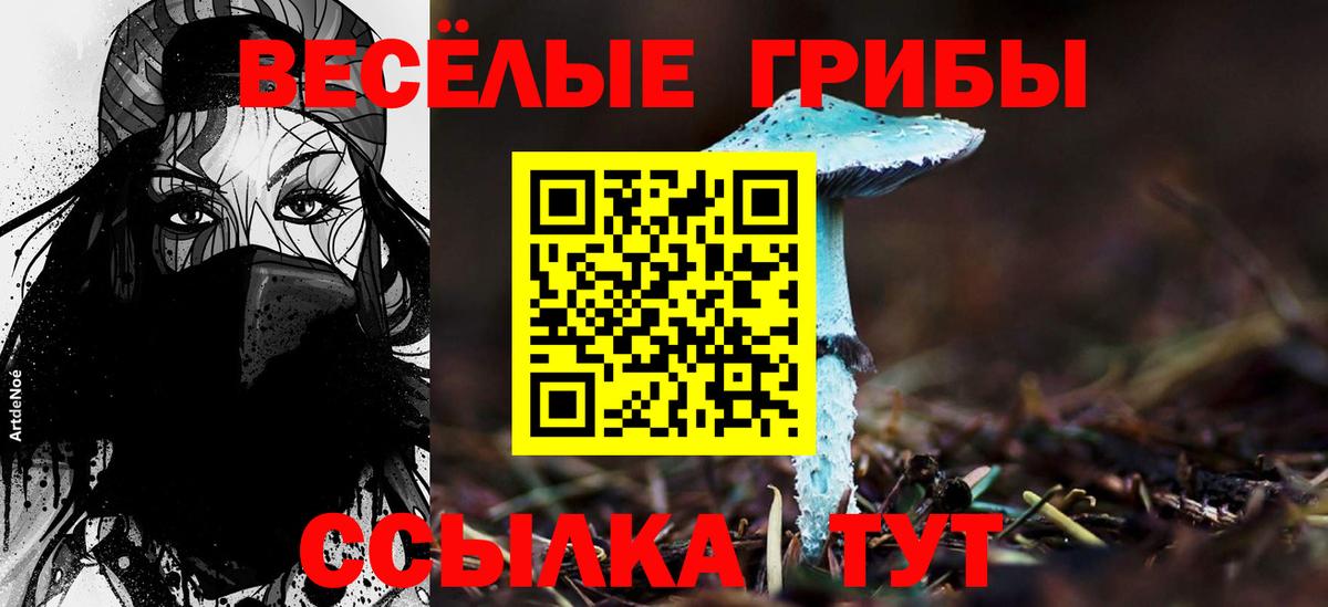 Галлюциногенные грибы Psilocybe  Псилоцибиновые грибы прущие грибы  Вход с VPN  Южноуральск 