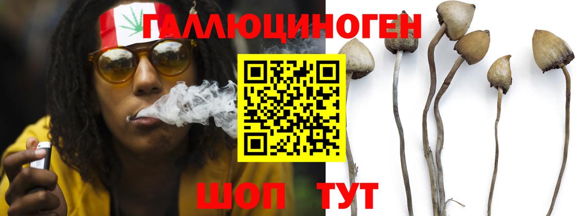 Галлюциногенные грибы прущие грибы Южноуральск